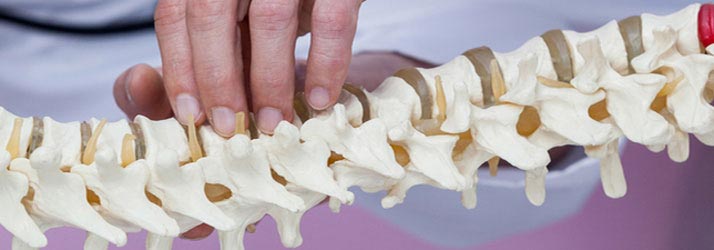 Chiropractic Shelby Charter Township MI Back and Body Chiropractic Center Spinal Decompression Chiropractic Shelby Charter Township MI Back and Body Chiropractic Center Spinal Decompression